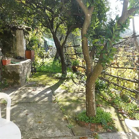 Le Terrazze Sul Mare